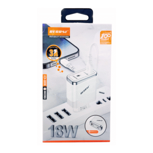 CHARGEUR 18W REGRSI